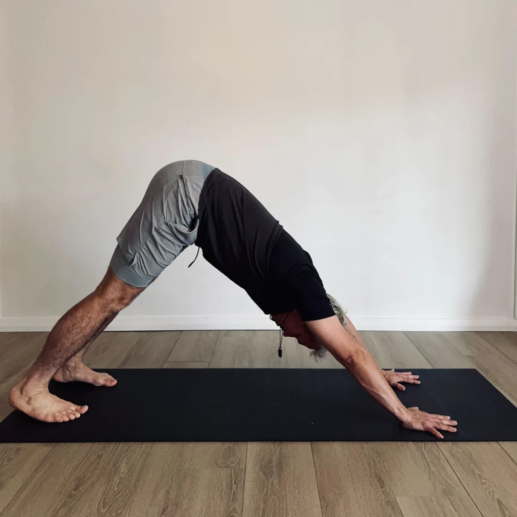 Yoga for Beginners in Australia: A Gentle Antidote to Modern Life 6 Downward Facing Dog