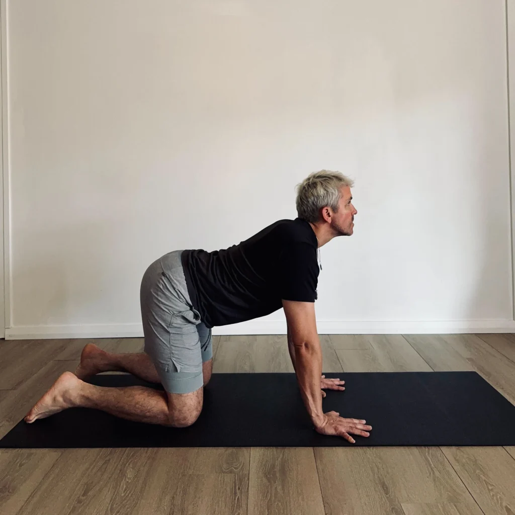 Cat yoga pose