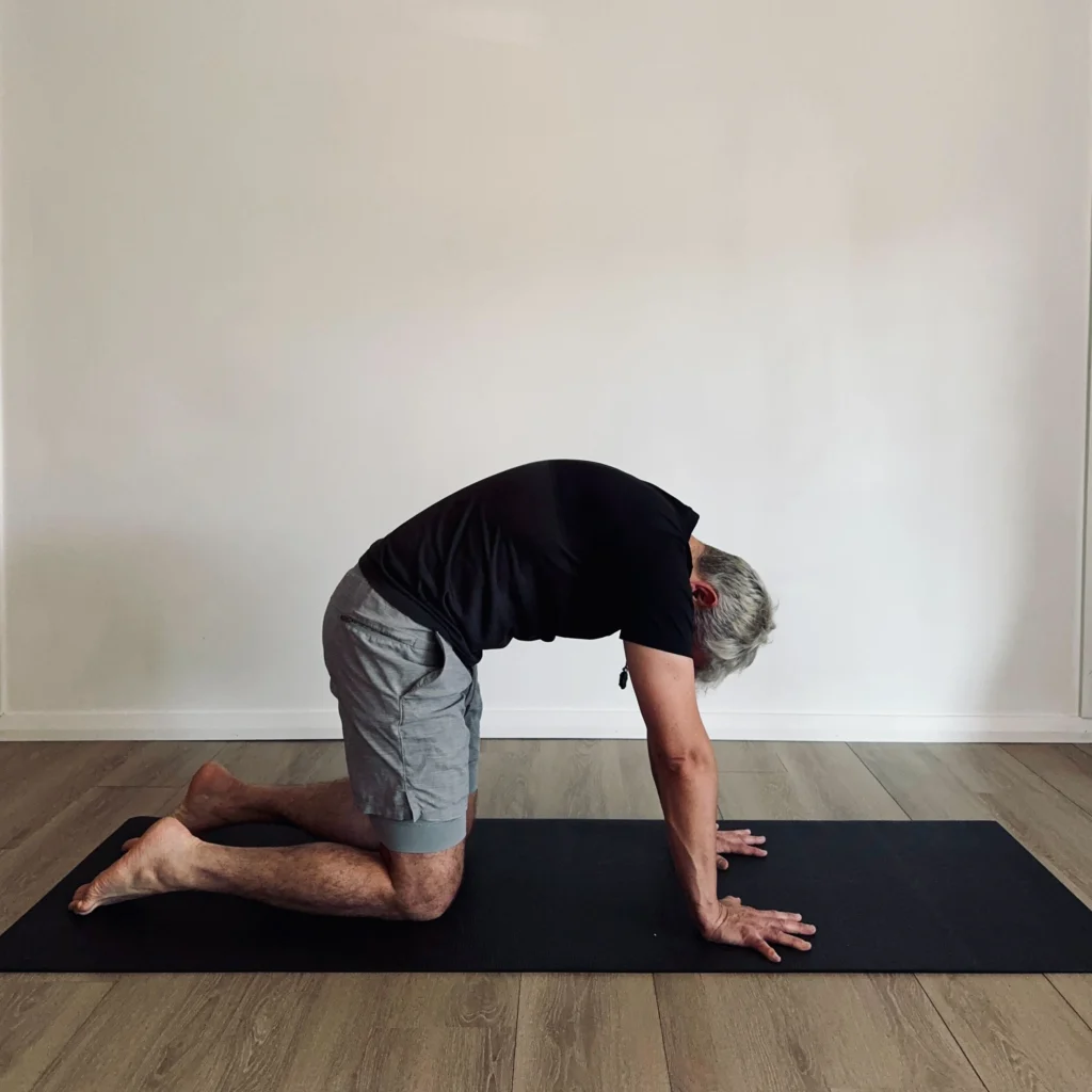 Cow yoga pose